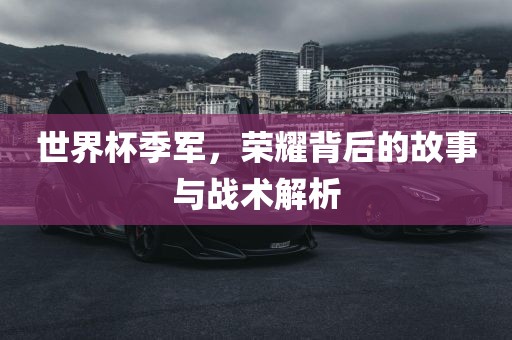世界杯季军,荣耀背后的故事与战术解析永康市本千工贸有限公司
