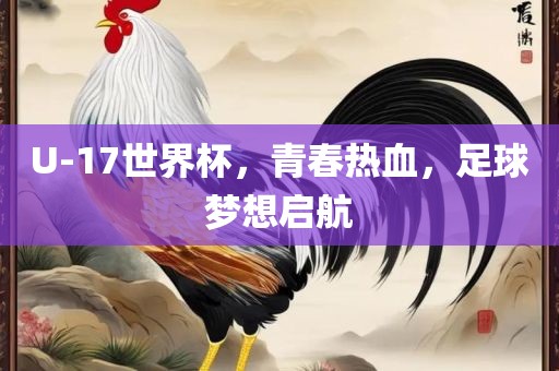 U-17世界杯,青春热血,足球梦想启航