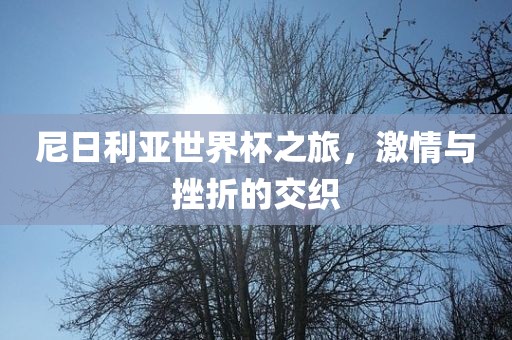 尼日利亚世界杯之旅,激情与挫折的交织