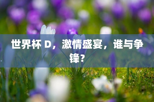 世界杯 D,激情盛宴永康市本千工贸有限公司,谁与争锋?
