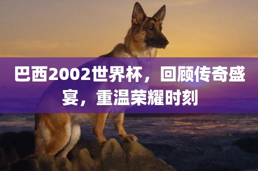 巴西2002世界杯,回顾传奇盛宴,重温荣耀时刻永康市本千工贸有限公司