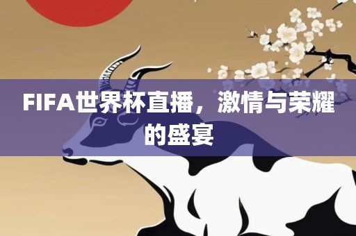 FIFA世界杯直播,激情与荣耀的盛宴