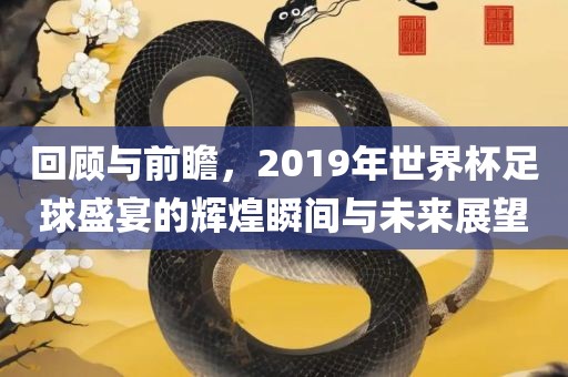 回顾与前瞻,2019年世界杯足球盛宴的辉煌瞬间与未来展望