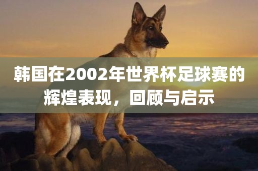 韩国在2002年世界杯足球赛的辉煌表现,回顾与启示