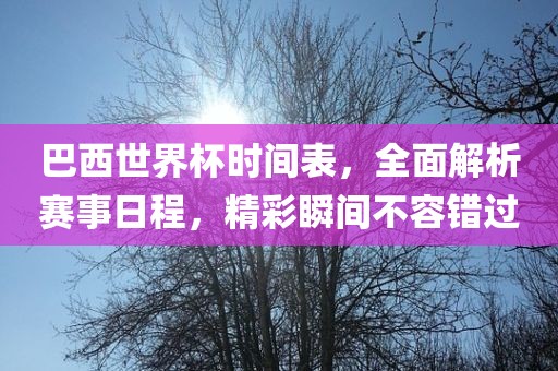 巴西世界杯时间表,全面解析赛事日程,精彩瞬间不容错过