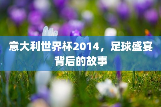 意大利世界杯2014,足球盛宴背后的故事