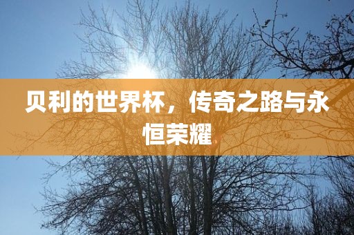 贝利的世界杯,传奇之路与永恒荣耀