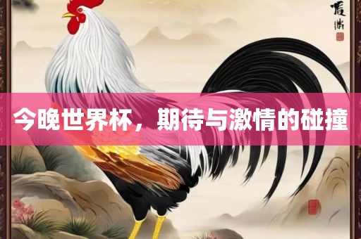 今晚世界杯,期待与激情的碰撞