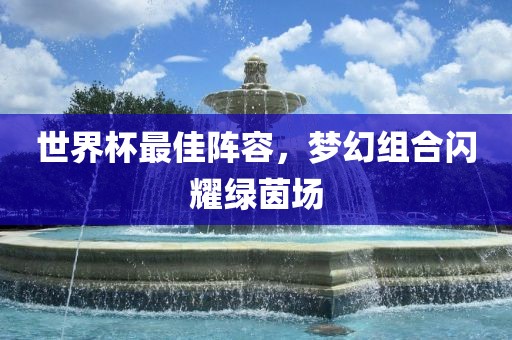 世界杯最佳阵容,梦幻组合闪耀绿茵场