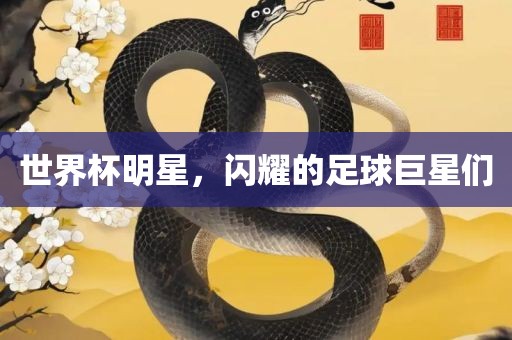 世界杯明星,闪耀的足球巨星们