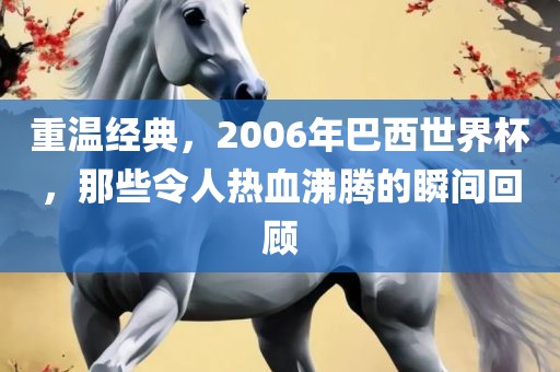 重温经典,2006年巴西世界杯,那些令人热血沸腾的瞬间回顾