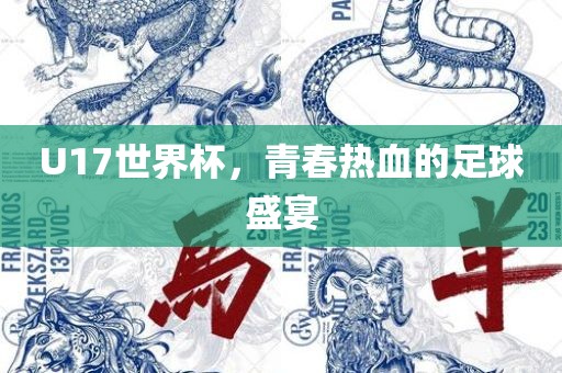 U17世界杯,青春热血的足球盛宴