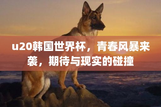 u20韩国世界杯,青春风暴来袭,期待与现实的碰撞永康市本千工贸有限公司