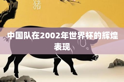 中国队在2002年世界杯的辉煌表现永康市本千工贸有限公司
