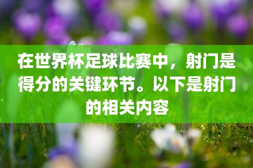 在世界杯足球比赛中，射门是得分的关键环节。以下是射门的相关内容