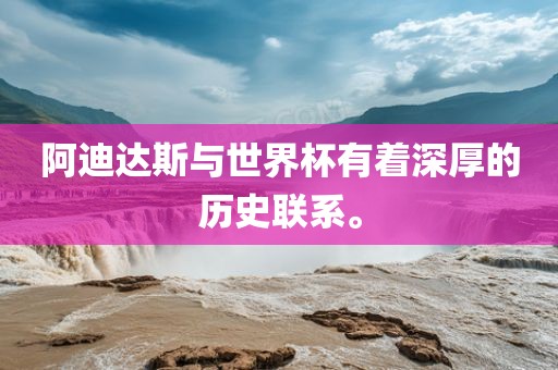 阿迪达斯与世界杯有着深厚的历史联系。永康市本千工贸有限公司