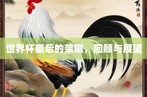 世界杯最后的荣耀,回顾与展望