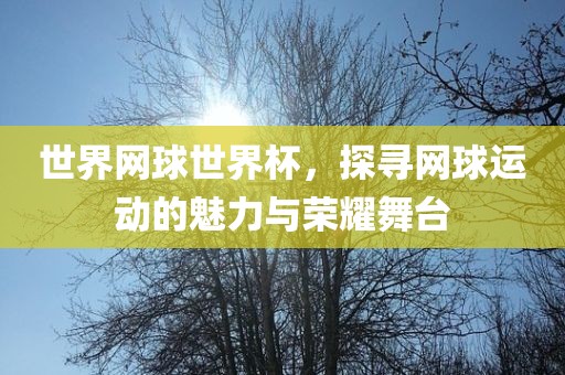 世界网球世界杯,探寻网球运动的魅力与荣耀舞台