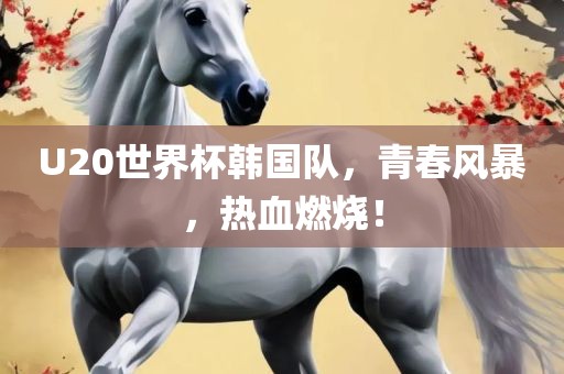 U20世界杯韩国队,青春风暴,热血燃烧!