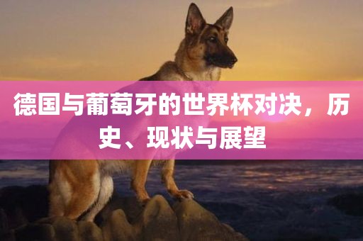 德国与葡萄牙的世界杯对决,历史、现状与展望