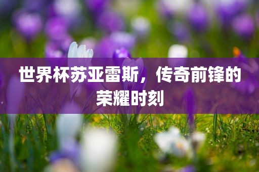 世界杯苏亚雷斯,传奇前锋的荣耀时刻永康市本千工贸有限公司