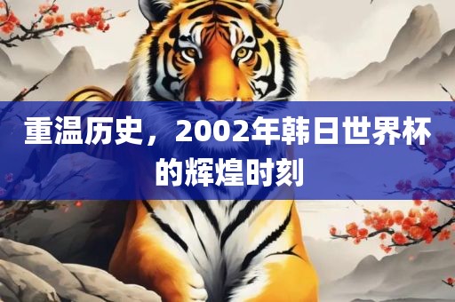 重温历史,2002年韩日世界杯的辉煌时刻