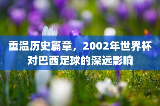 重温历史篇章,2002永康市本千工贸有限公司年世界杯对巴西足球的深远影响