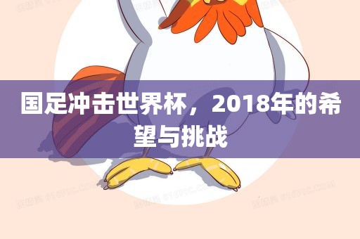 国足冲击世界杯,2018年的希望与挑战