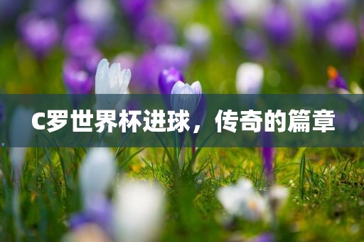 C罗世界杯进球,传奇的篇章