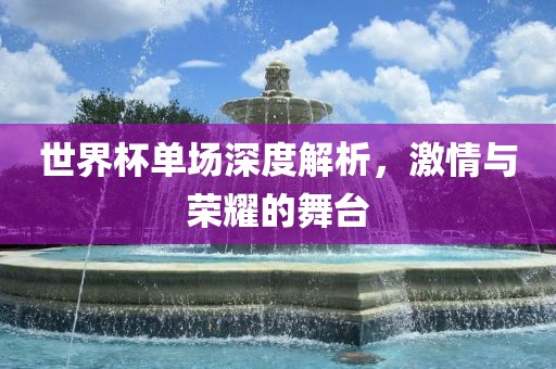 世界杯单场深度解析，激情永康市本千工贸有限公司与荣耀的舞台