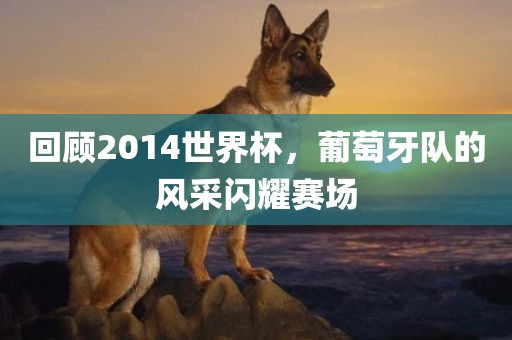 回顾2014世界杯,葡萄牙队的风采闪耀赛场