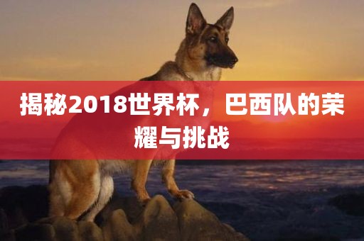 揭秘2018世界杯，巴西队的荣耀与挑战