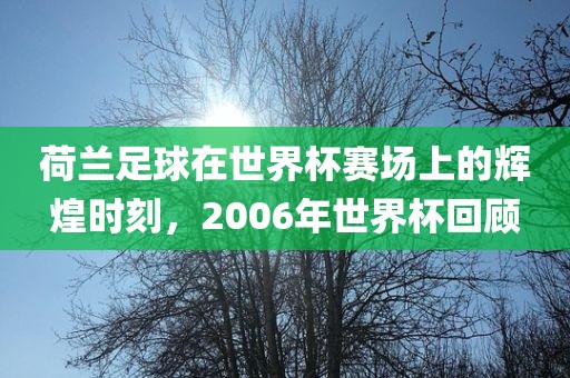 荷兰足球在世界杯赛场上的辉煌时刻,2006年世界杯回顾