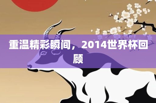 重温精彩瞬间，2014世界杯回顾