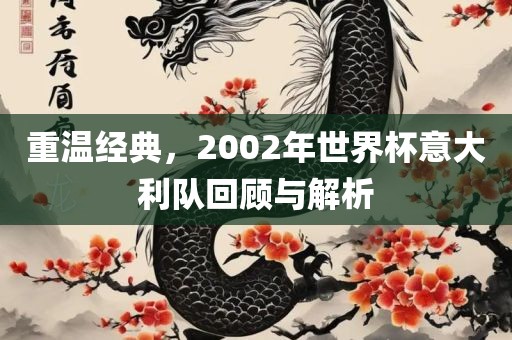 重温经典,2002年世界杯意大利队回顾与解析
