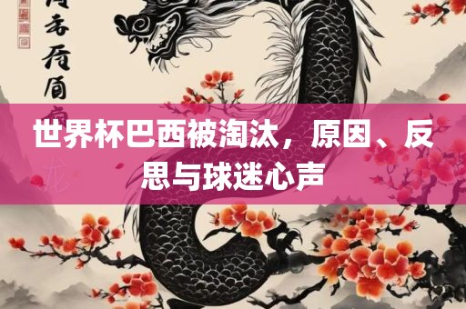 世界杯巴西被淘汰，原因、反思与球迷心声永康市本千工贸有限公司