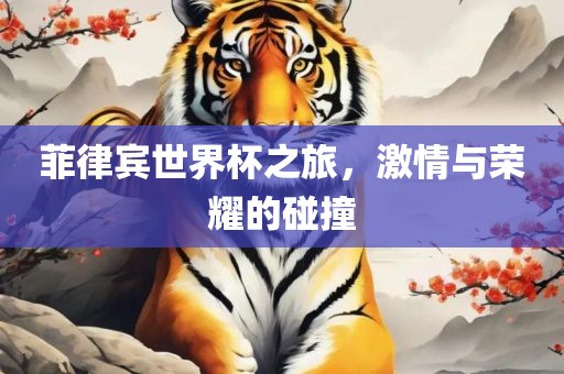 菲律宾世界杯之旅,激情与荣耀的碰撞