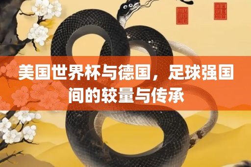 美国世界杯与德国,足球强国间的较量与传承