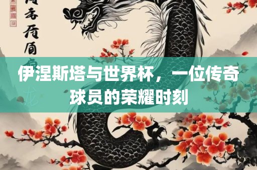 伊涅斯塔与世界杯,一位传奇球员的荣耀时刻永康市本千工贸有限公司