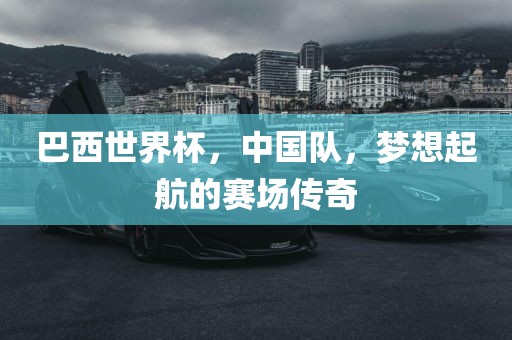 巴西世界杯,中国队,梦想起航的赛场传奇永康市本千工贸有限公司