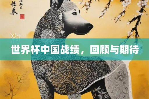 世界杯中国战绩,回顾与期待永康市本千工贸有限公司