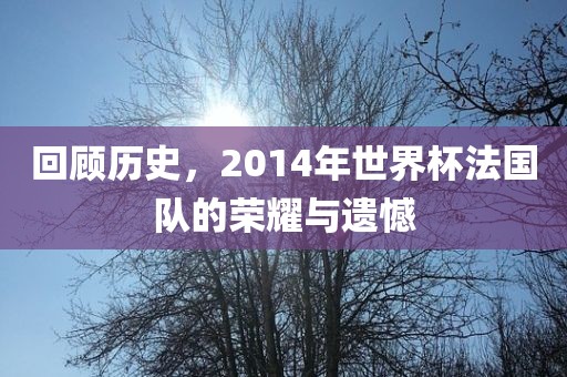 回顾历史,2014年世界杯法国队的荣耀与遗憾