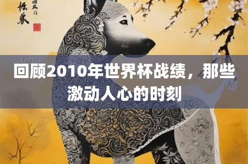 回顾2010年世界杯战绩,那些激动人心的时刻