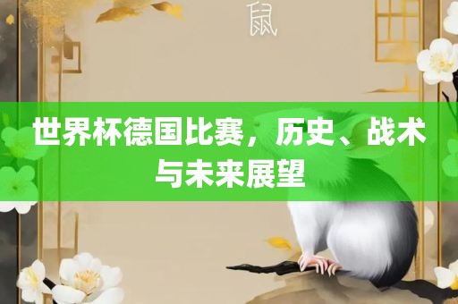 世界杯德国比赛，历史、战术与未来展望