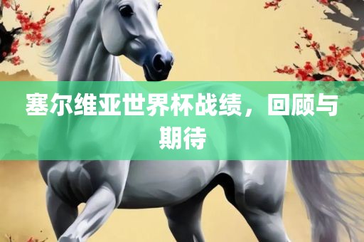 塞尔维亚世界杯战绩,回顾与期待