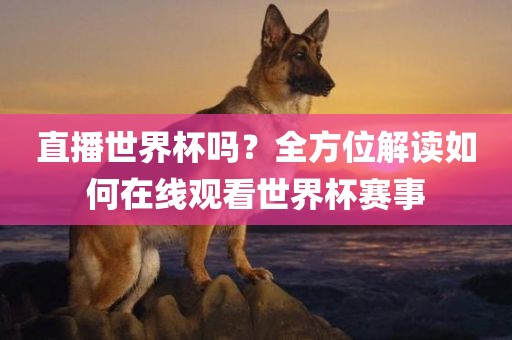 直播世界杯吗?全方位解读如何在线观看世界杯赛事
