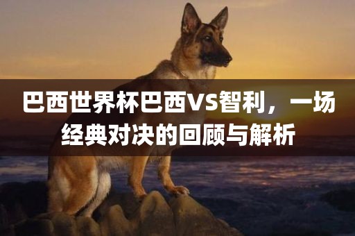 巴西世界杯巴西VS智利,一场经典对决的回顾与解析永康市本千工贸有限公司