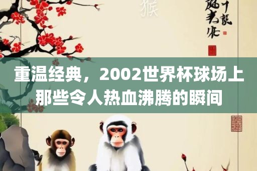 重温经典,2002世界杯球场上那些令人热血沸腾的瞬间
