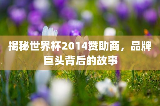 揭秘世界杯2014赞助商，品牌巨头背后的故事