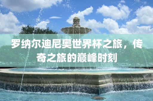 罗纳尔迪尼奥世界杯之旅,传奇之旅的巅峰时刻永康市本千工贸有限公司